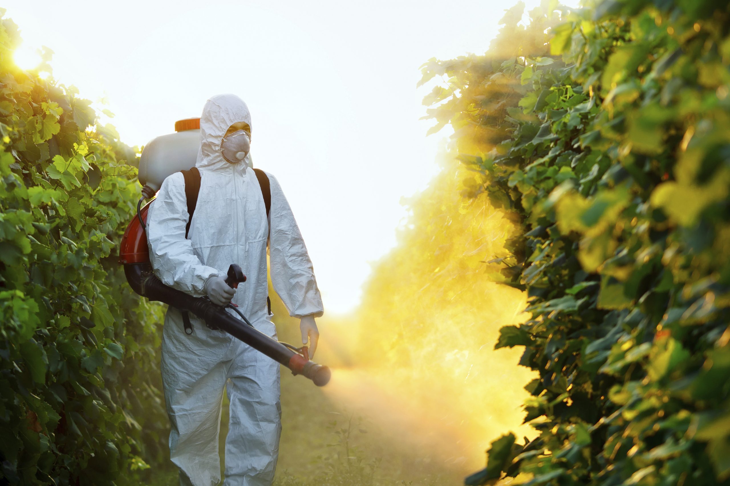 FDA, USDA not testing foods for most widely used farm pesticide