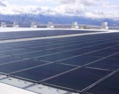 Solyndra and Its Defenders