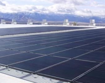 Solyndra and Its Defenders
