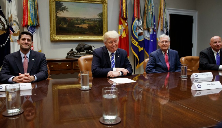 President Trump discusses tax reform with congressional leaders and administration officials. (AP Photo/Evan Vucci)