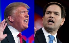 Trump smashes Rubio in new poll of GOP Floridians