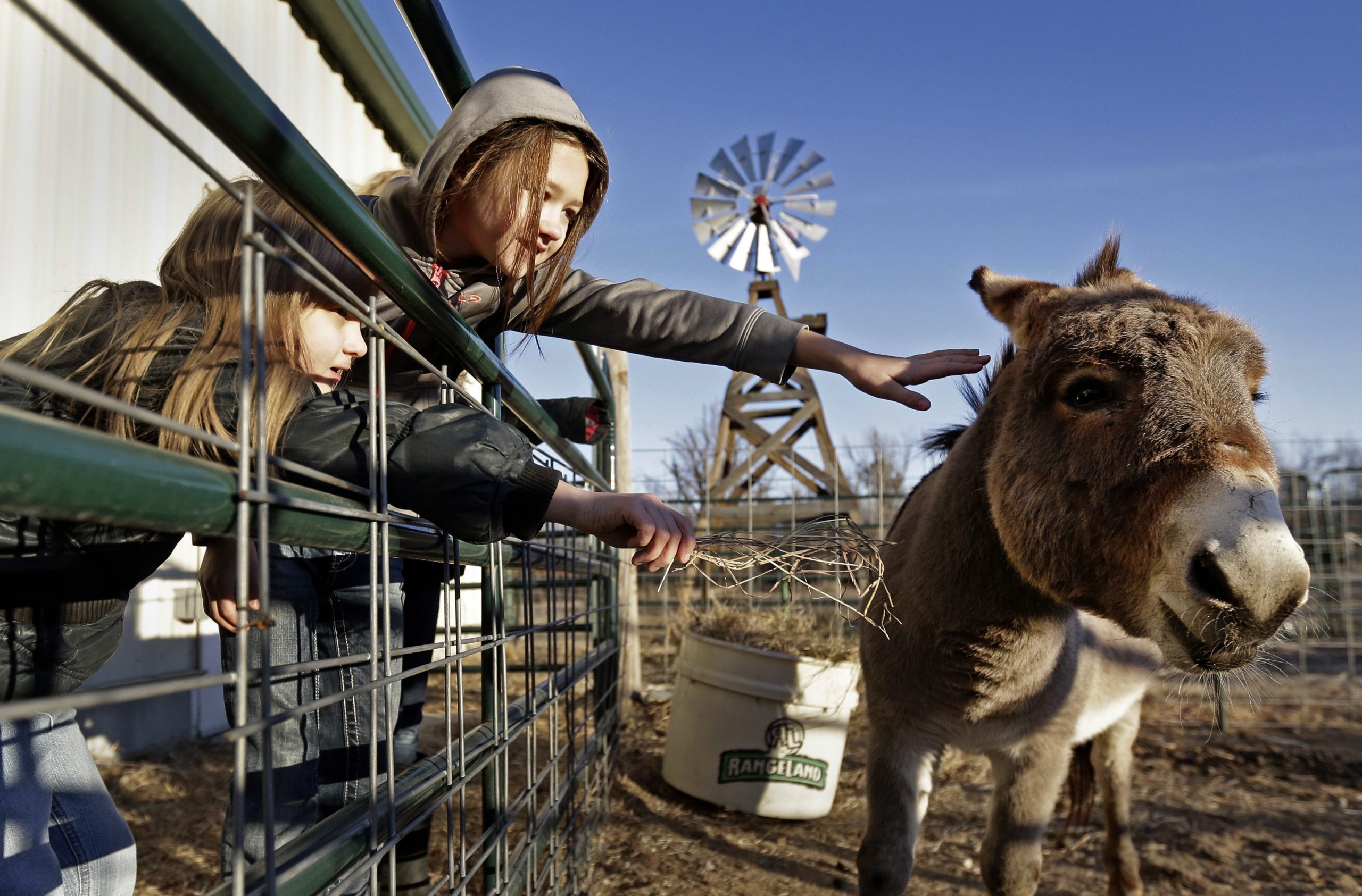 Ag-based curriculum invigorates Kansas school