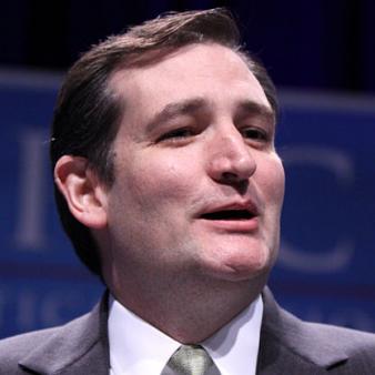 Nebraska Senate: Cruz Endorses Sasse
