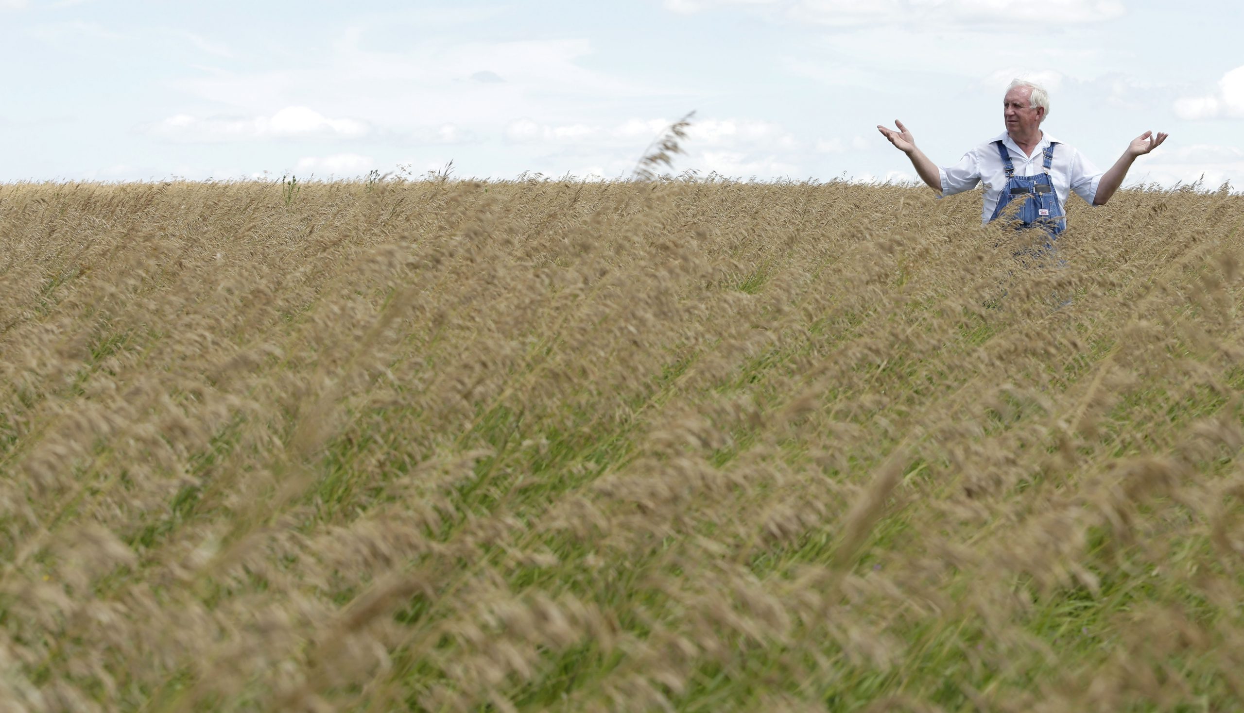 Prairies vanish in the US push for green energy