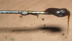 Potency creating problems