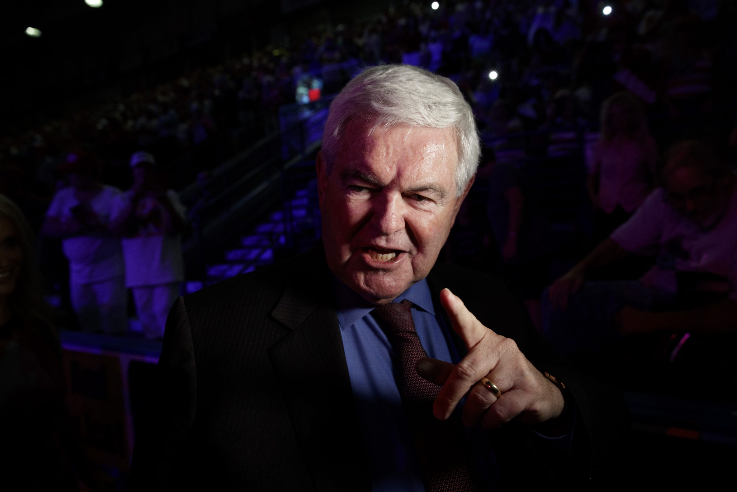 Gingrich: Mistake for Paul Ryan to view voters as ‘nutty’