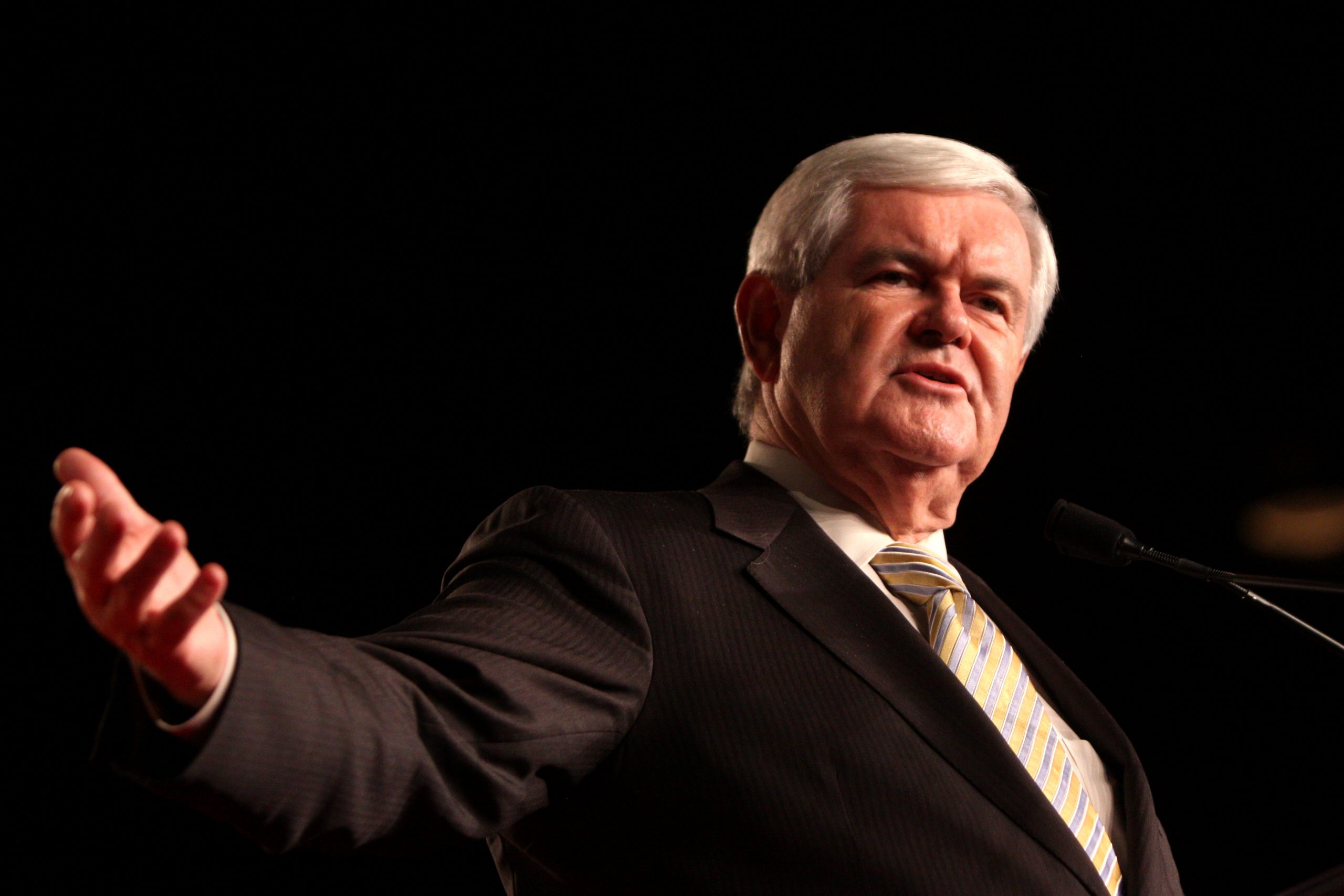 Gingrich: Trump’s Attack on Hispanic Judge Is Un-American