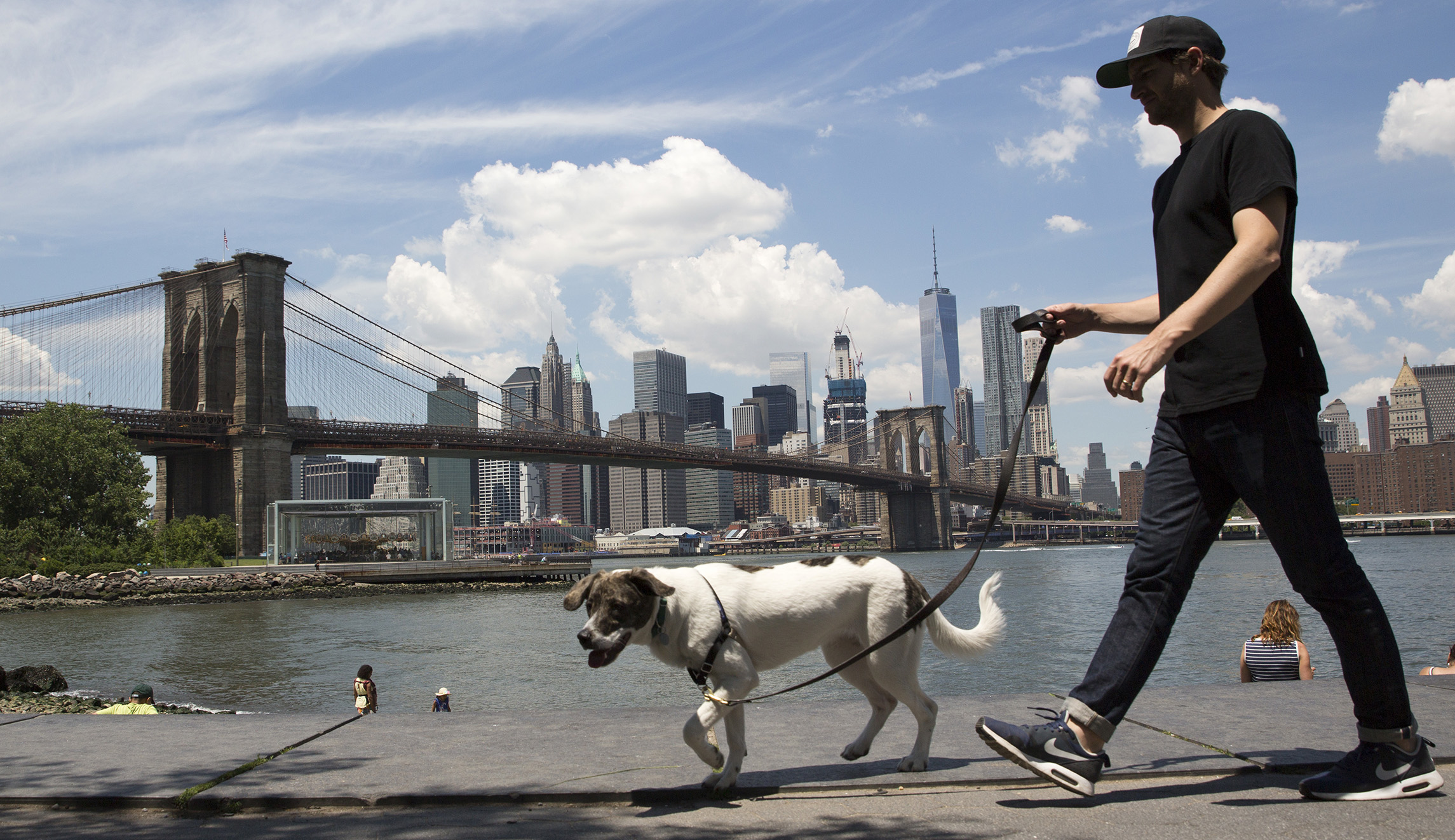New York’s crackdown on dog-walking licenses is only hurting low-income workers