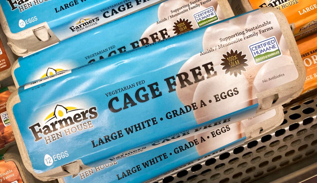 Egg prices soar despite overall inflation finally cracking