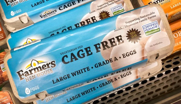 Egg prices plunge most in more than 70 years in reversal from huge spike