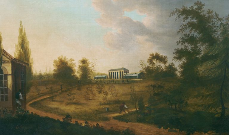 The Doctor’s Garden