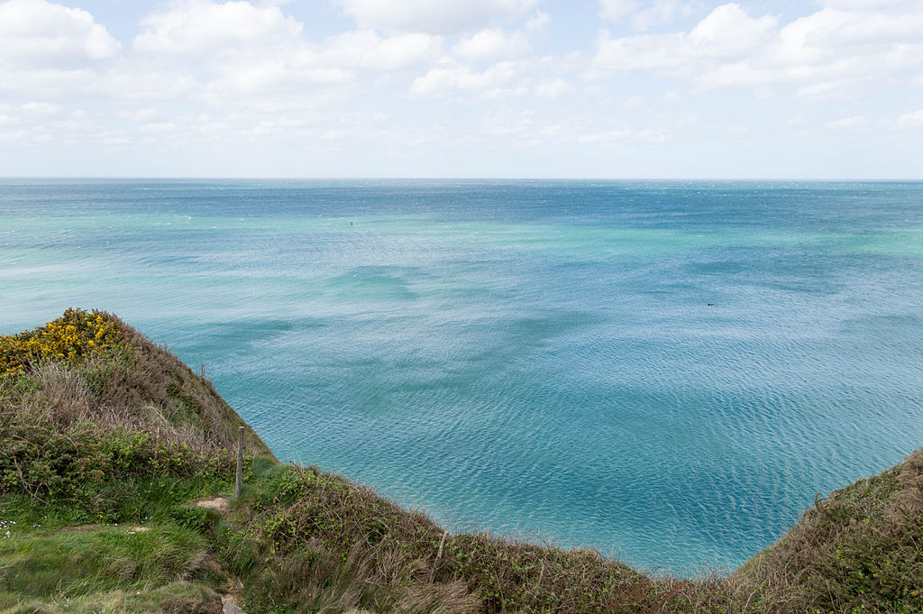 Prufrock: Van Gogh in the Asylum, Therapeutic Identity Politics, and Swimming the English Channel at 11