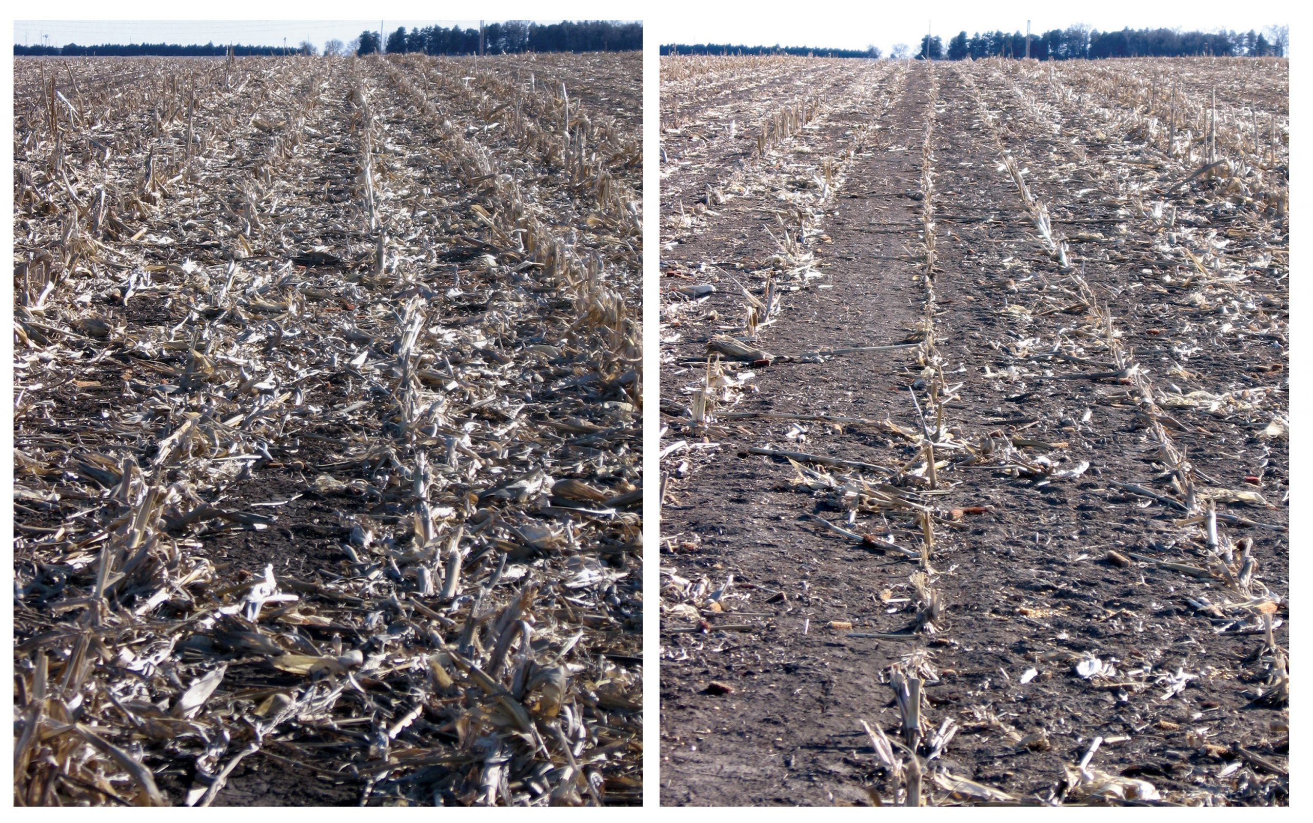 Study: Fuels from corn waste not better than gas