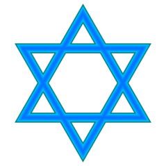 How Jewish is the New York 9th CD?