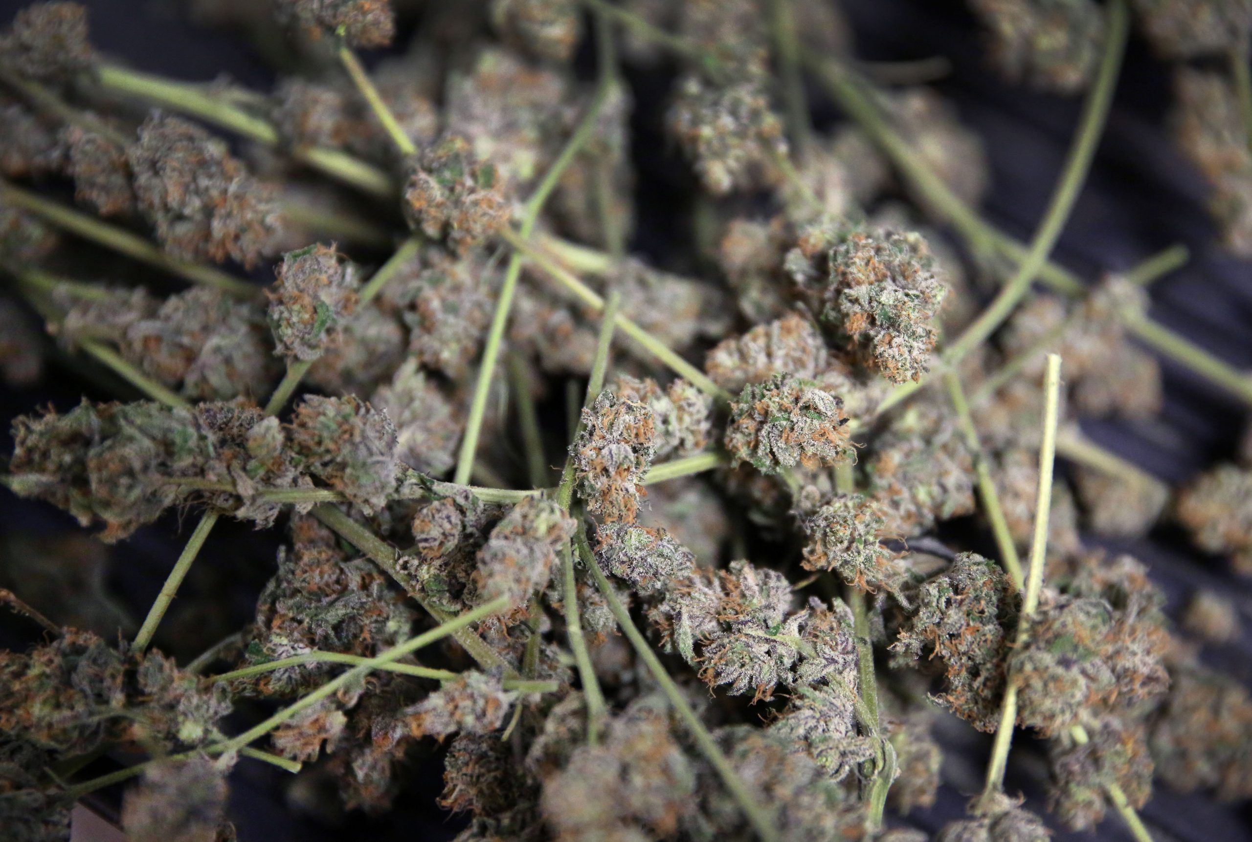 Marijuana gets warehouse owners buzzing as Colorado farms thrive