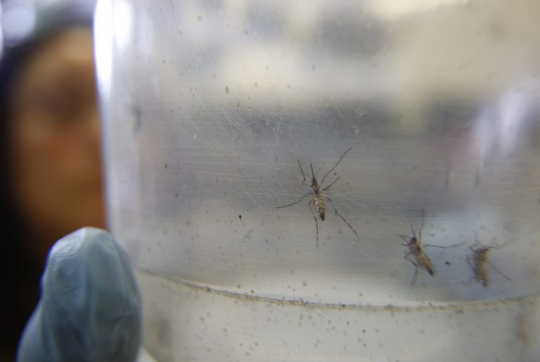 Three people who traveled to countries hit by the virus tested positive for Zika, health officials said. (AP Photo/Andre Penner)
