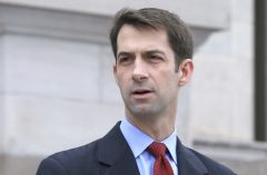 Cotton retweets, then deletes, support for anti-Trump third party