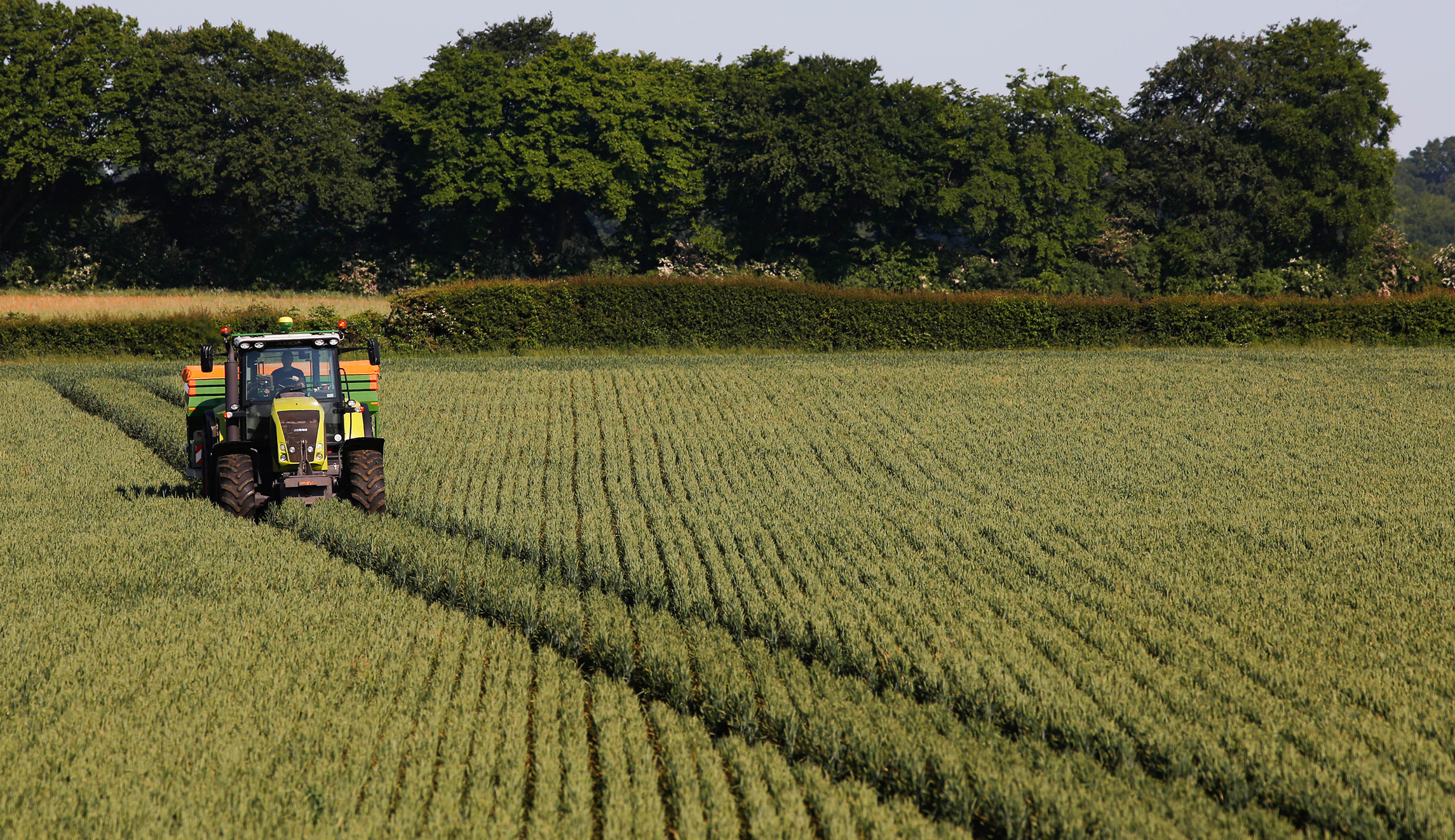 Farmers don’t need subsidies, they need free trade