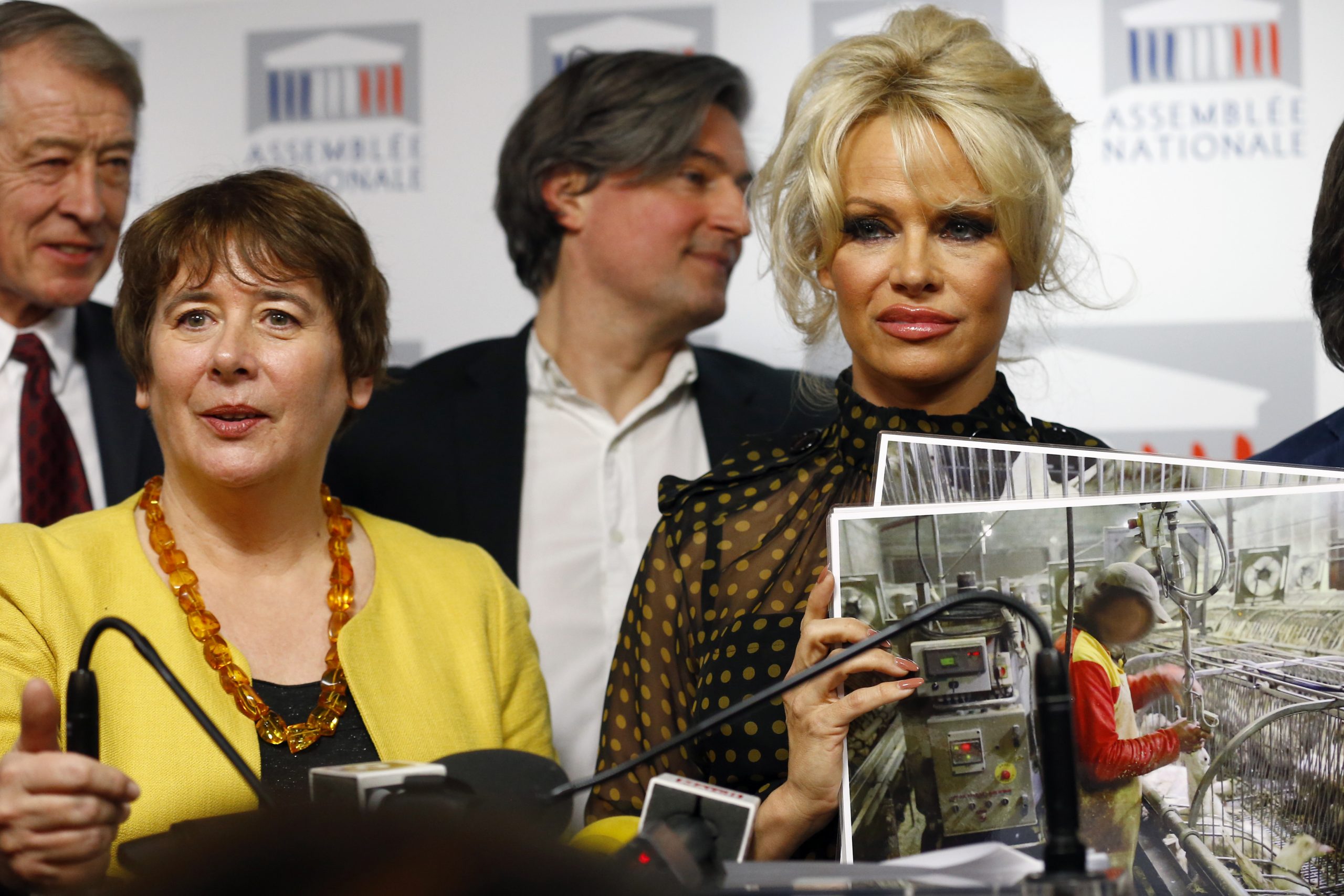 Pamela Anderson petitions French parliament over foie gras
