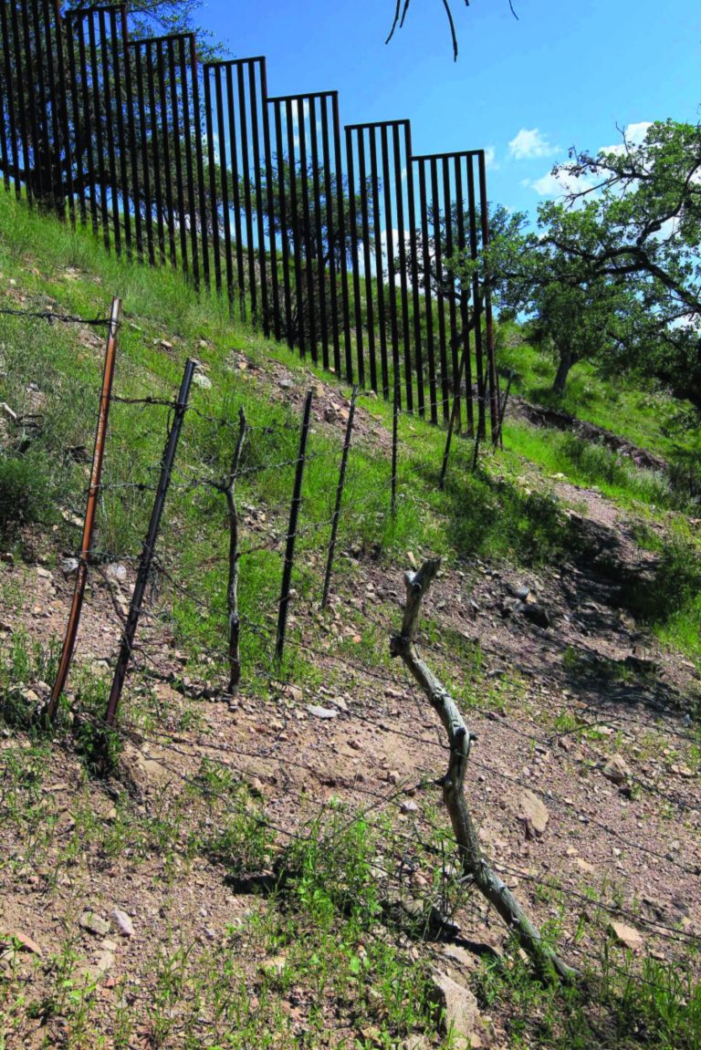 In this Friday, Aug. 10, 2012 photo, a small barbed-wire fence begins where the more imposing fence ends on the property that rancher Dan Bell leases, along the border between the United States and Mexico, in Nogales, Ariz. When Bell drives through the property, he speaks of the hurdles that the Border Patrol faces in his rolling green hills of oak and mesquite trees: The hours it takes to drive to some places, the wilderness areas that are generally off-limits to motorized vehicles, and the environmental reviews required to extend a dirt road. (AP Photo/Ross D. Franklin)