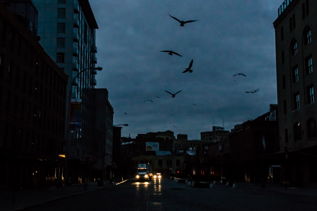 Cyber attack would leave East Coast dazed, Energy Dept. says