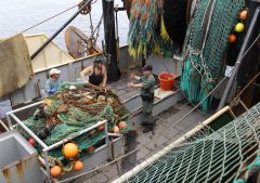Two cheating fishermen indicted in Ohio after placing weights in fish