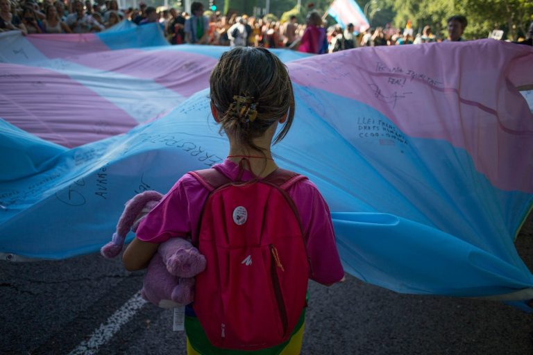 A girl holds the transgender pride flag during the pride march.