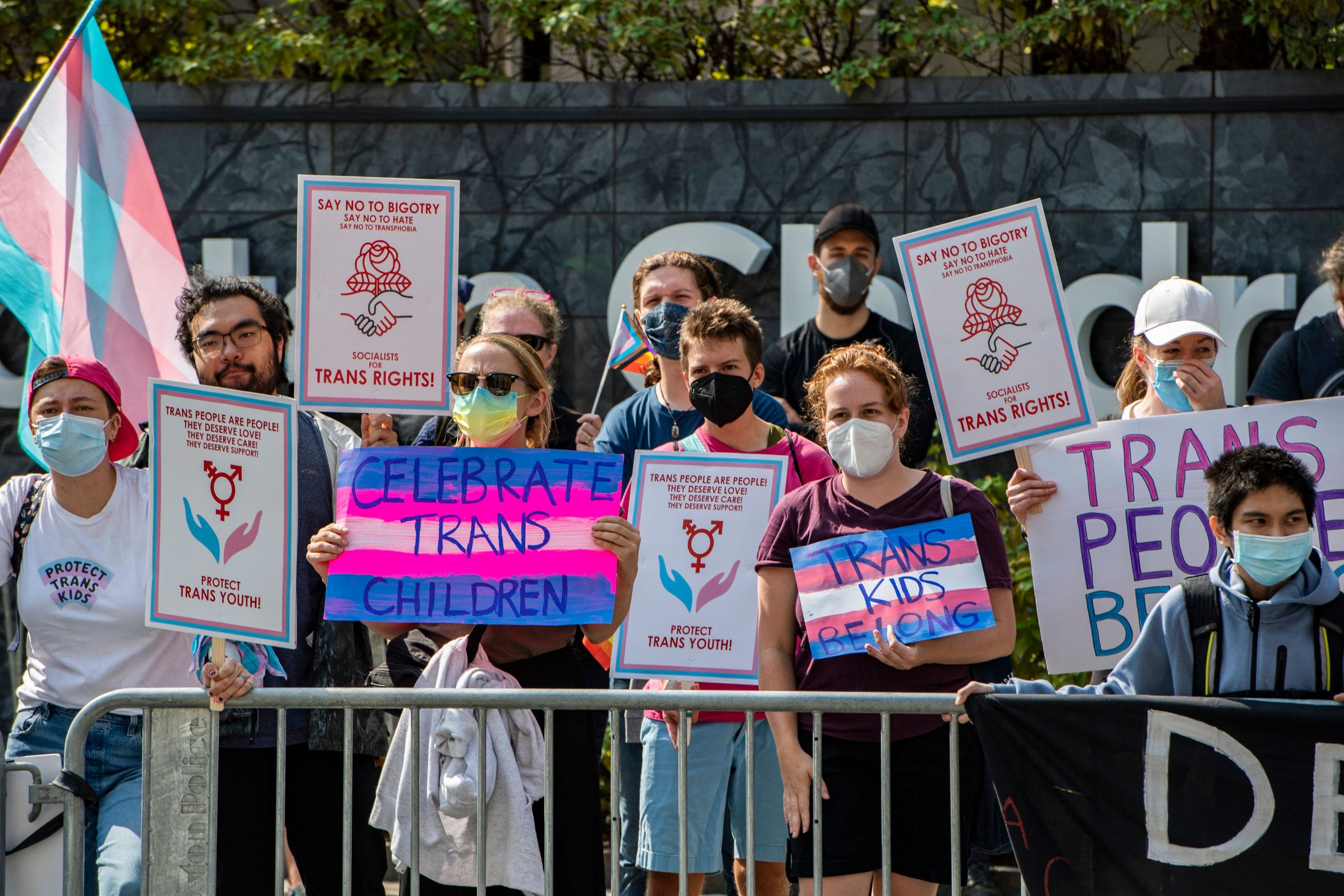 Gender transition legislation among six vetoes overturned into law