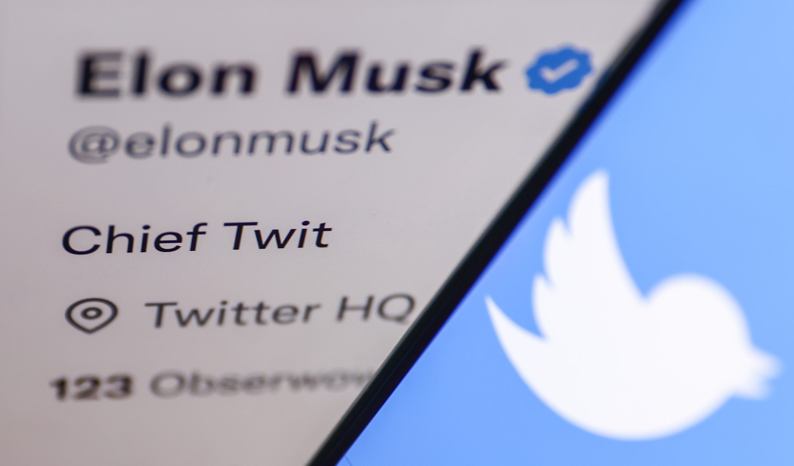 Elon Musk 'Chief Twit' Photo Illustrations
