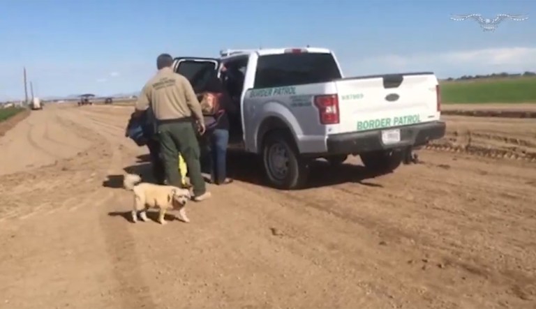 Group of women cross border illegally and go undetected as they walk past congressmen: Watch