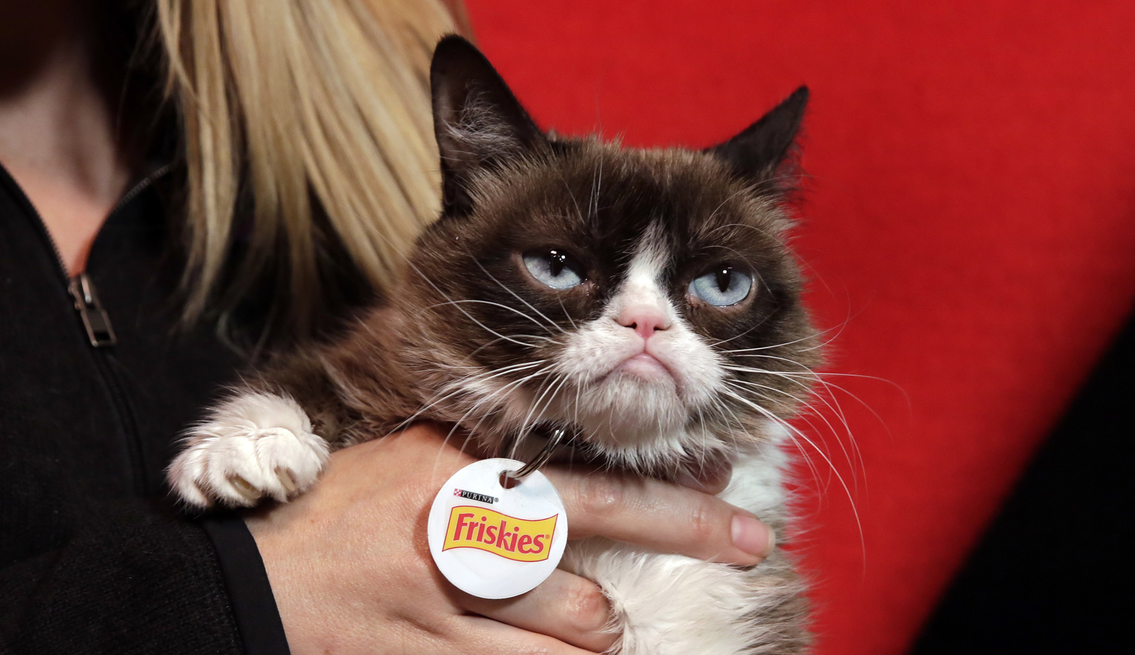 The end of a meme: How Grumpy Cat defined the millennial mood