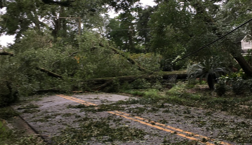 Barely spared by Hurricane Sally, but our neighbors really got walloped
