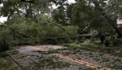 Barely spared by Hurricane Sally, but our neighbors really got walloped