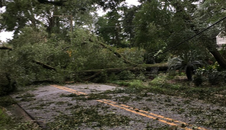 Barely spared by Hurricane Sally, but our neighbors really got walloped