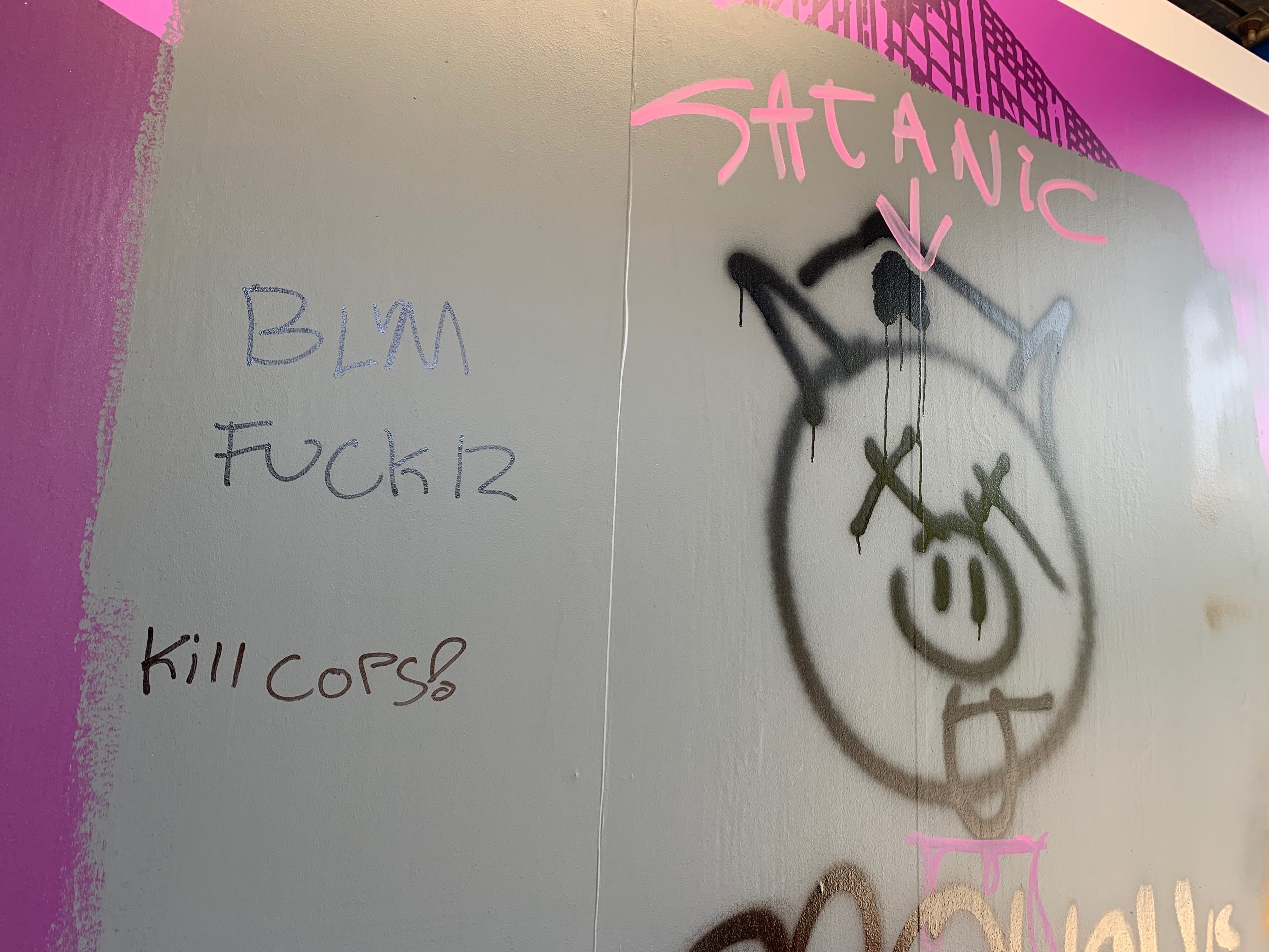 Graffiti is seen in Washington, D.C. It includes phrases such as "BLM," "F--- 12," and "Kill cops!", as well as the word "satanic" with an arrow pointing at a dead pig's face.