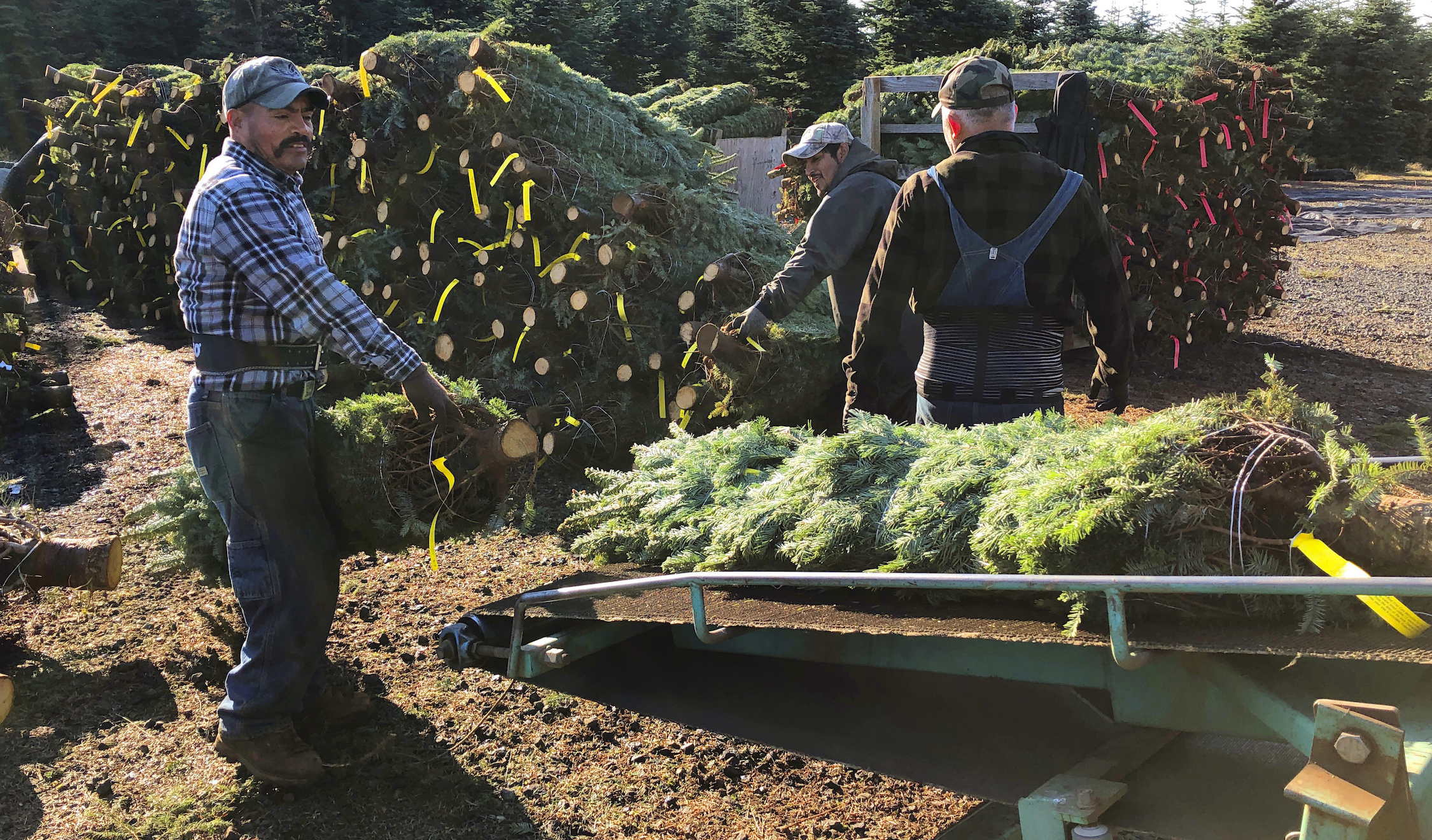 Could Democrats pack a pathway to citizenship for illegal immigrants into a COVID-19 aid bill?