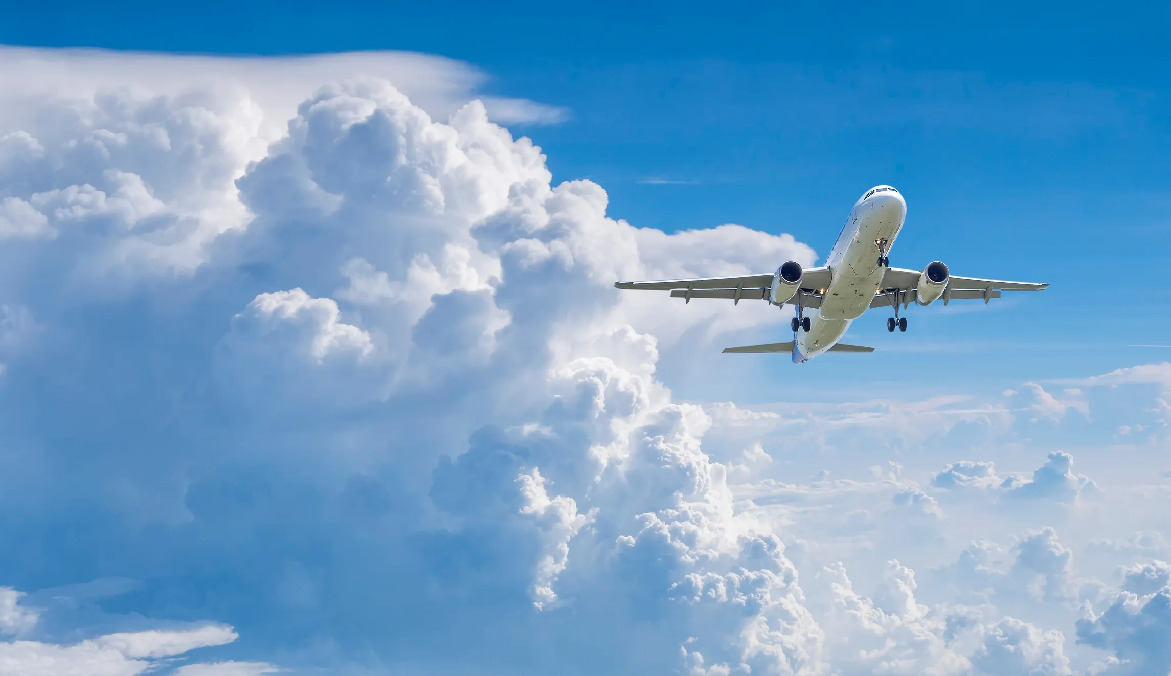 Democrats’ coronavirus flight of fancy