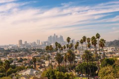 Los Angeles passes 300 homicides in 2020, the highest number since 2009