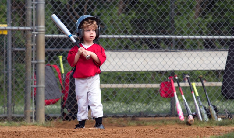 Virginia Little League coaches required to undergo anti-racist training to combat ‘institutional racism’