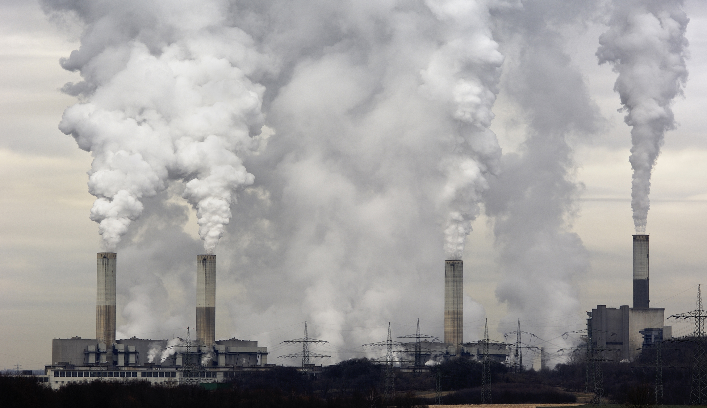 A pro-growth carbon tax could lower the payroll tax rate