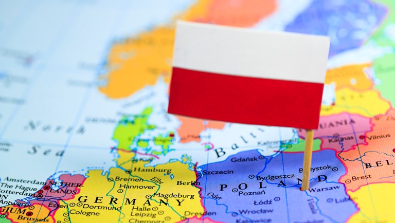 Car crashes into DC Polish Embassy gates