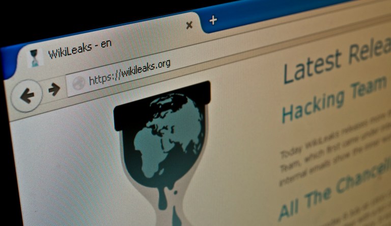 WikiLeaks: We are ‘immune to new DNC lawsuit’