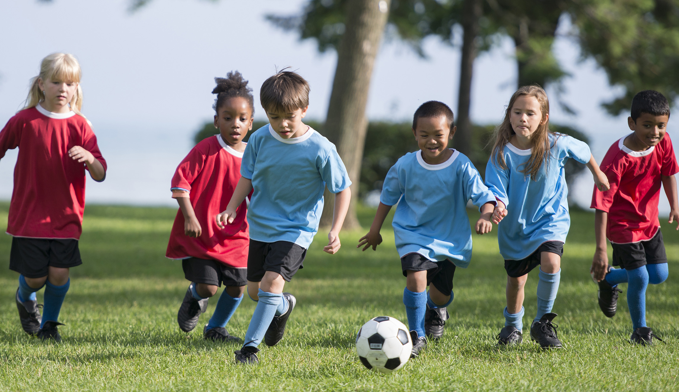 Let the children play