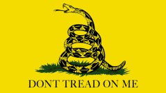 ‘Don’t Tread On Me’ flag has long history of Navy use
