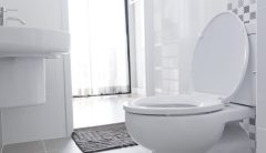 Toilet flushing may send coronavirus aerosols flying, researchers say