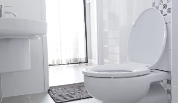 Toilet flushing may send coronavirus aerosols flying, researchers say