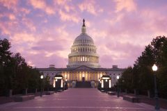 DC crime statistics show spikes in first 12 days of 2023