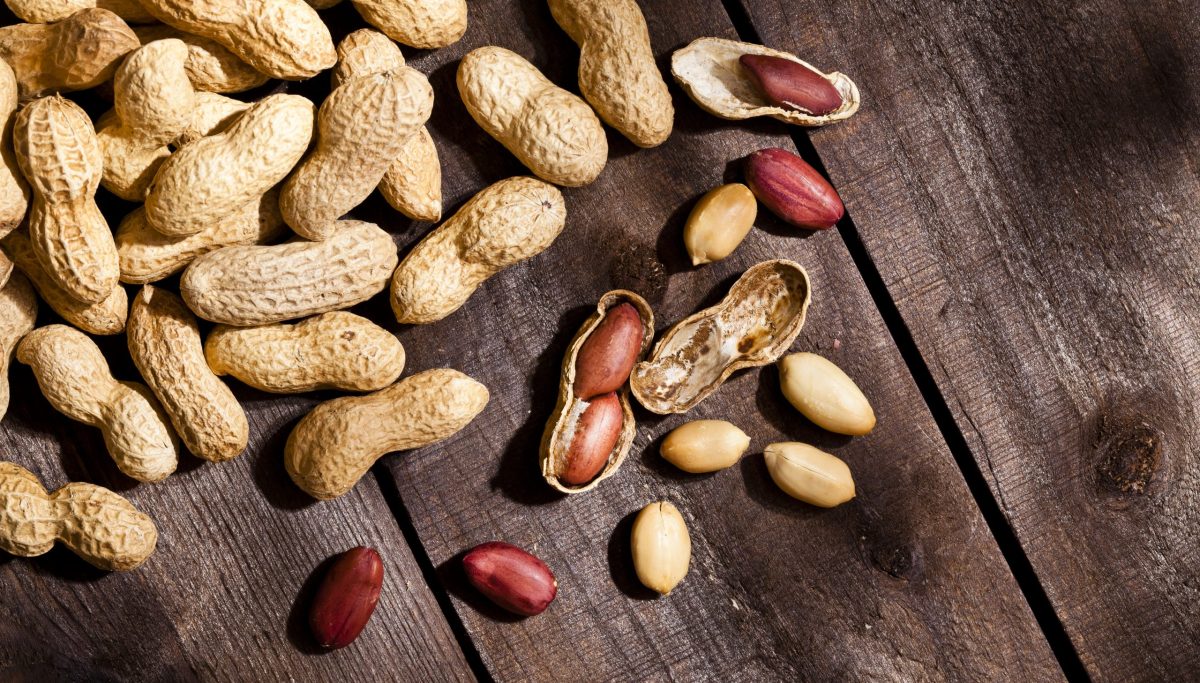 Peanut allergies may be treatable with fecal matter transplant: Clinical trial