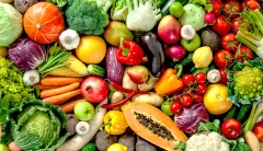 Feminist health course politicizes college nutrition