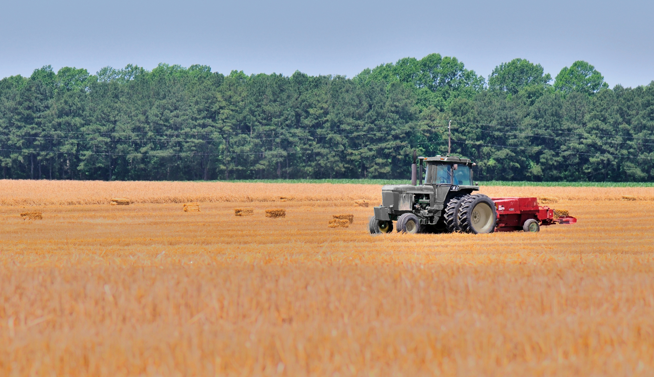 Climate policies will shut down farmers
